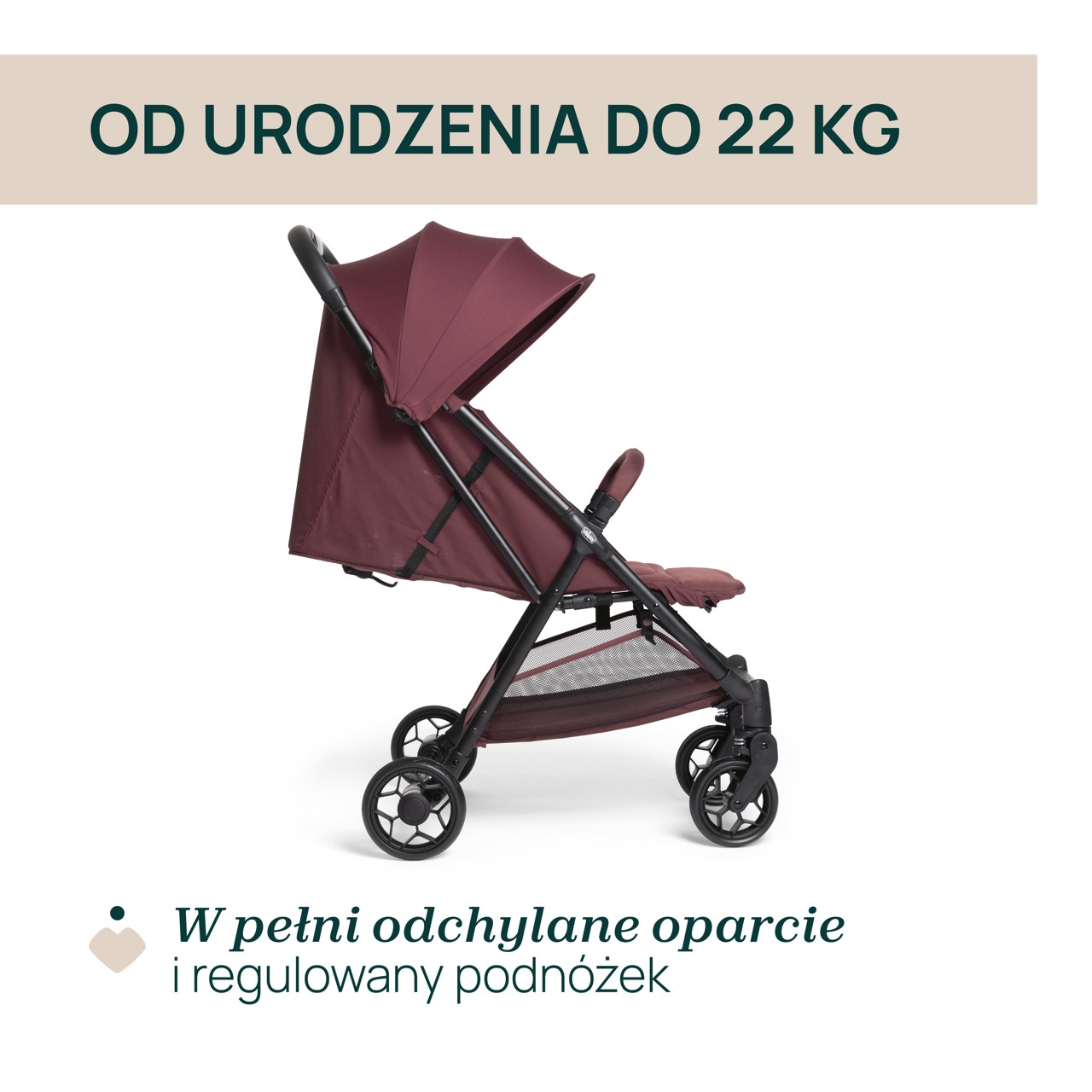 W&Oacute;ZEK URBINO  null - 1