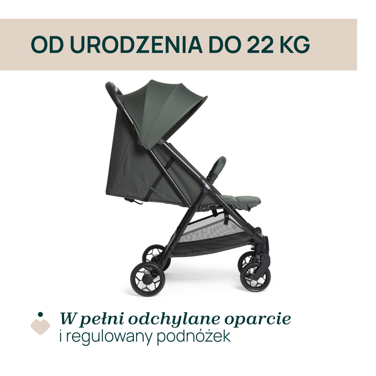 W&Oacute;ZEK URBINO  null - 1
