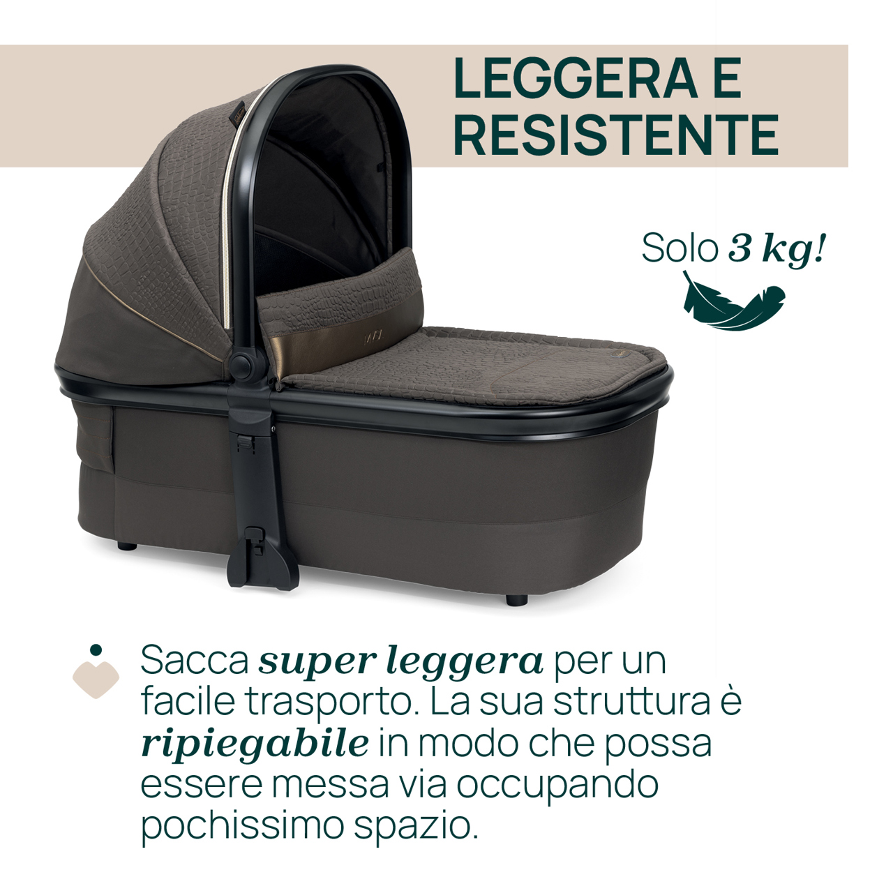 Trio Mysa con Kory Plus - Special Edition Chicco - 6