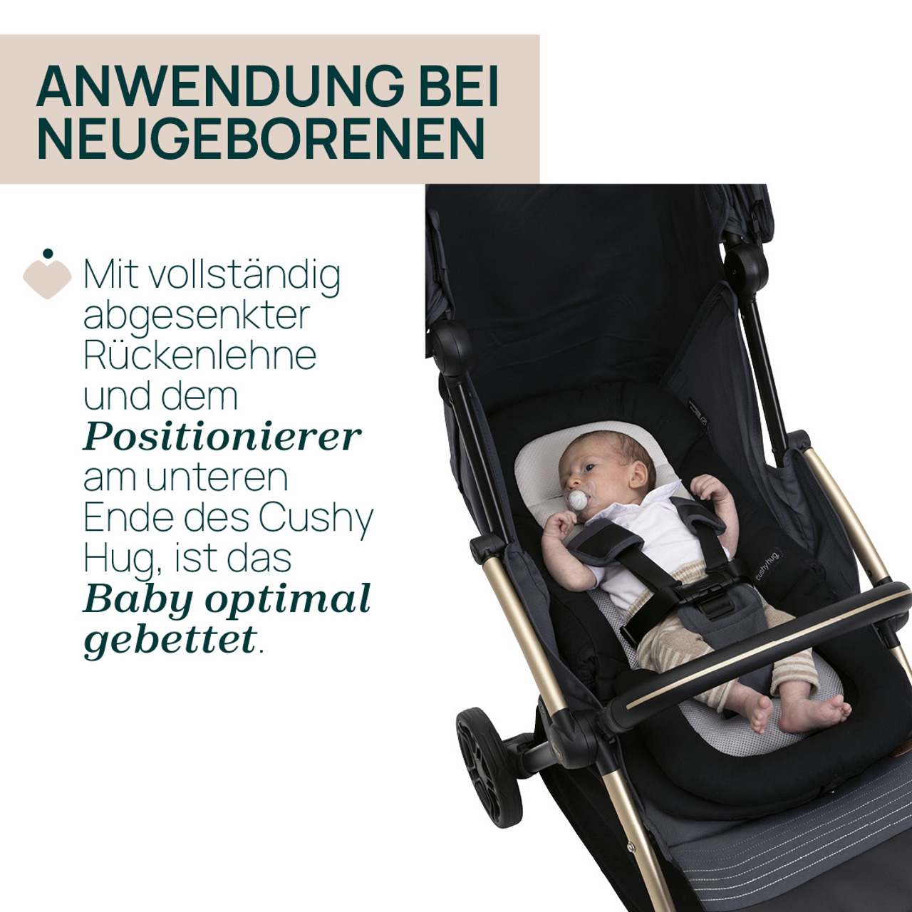 Sitzverkleinerer Cushy Hug für Goody XPlus null - 7