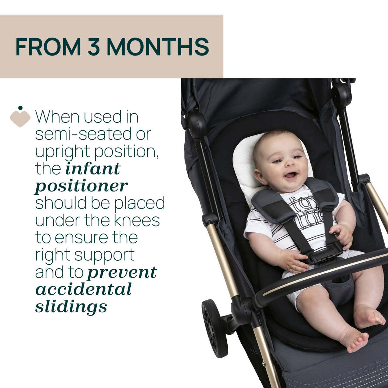 Cushy Hug Goody Stroller null - 9