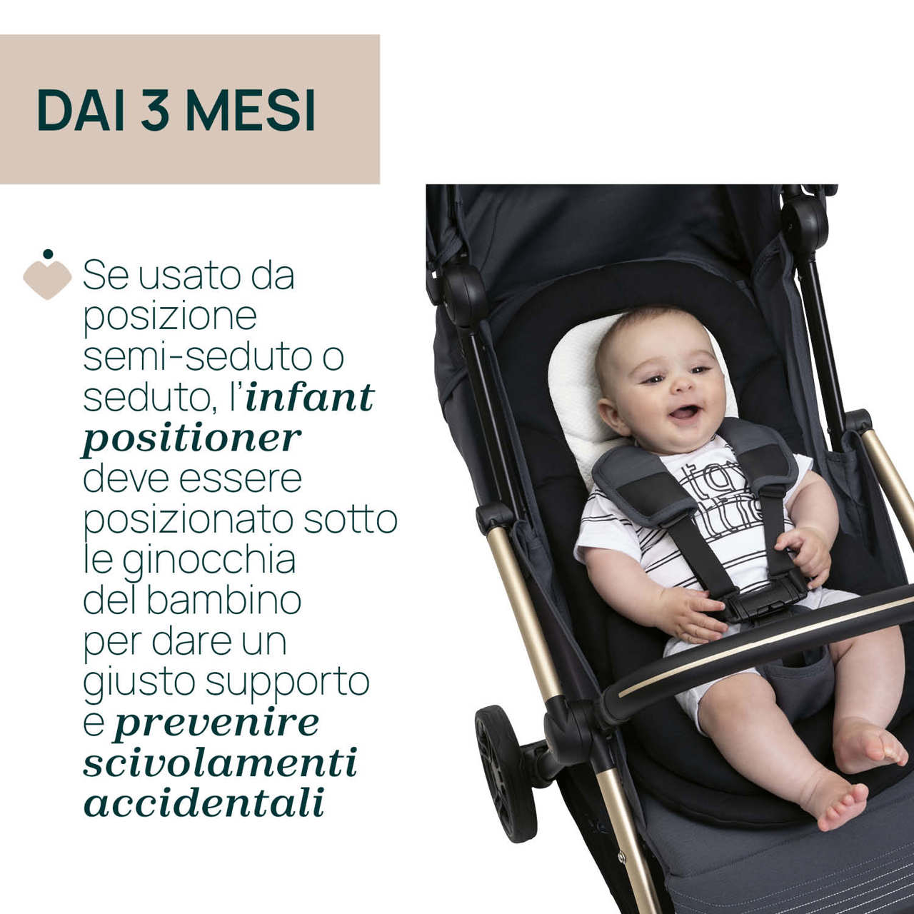 Riduttore Cushy Hug per passeggino Goody XPlus null - 3