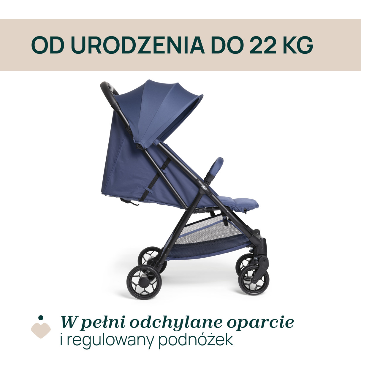 W&Oacute;ZEK URBINO  null - 1