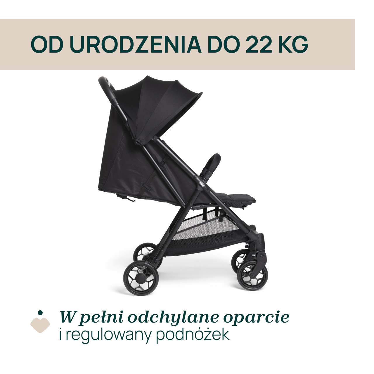 W&Oacute;ZEK URBINO  null - 1