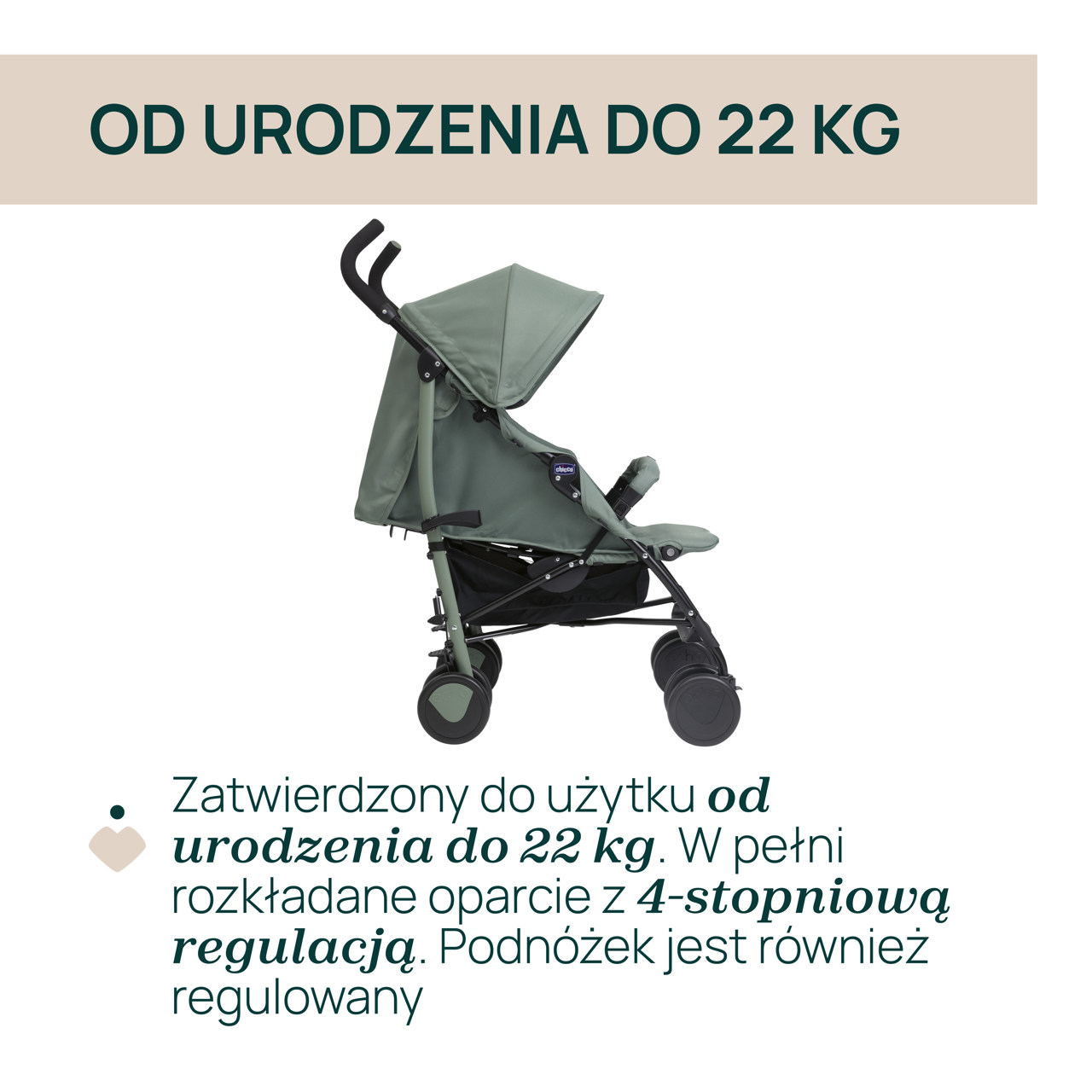 W&Oacute;ZEK ECHO  null - 1