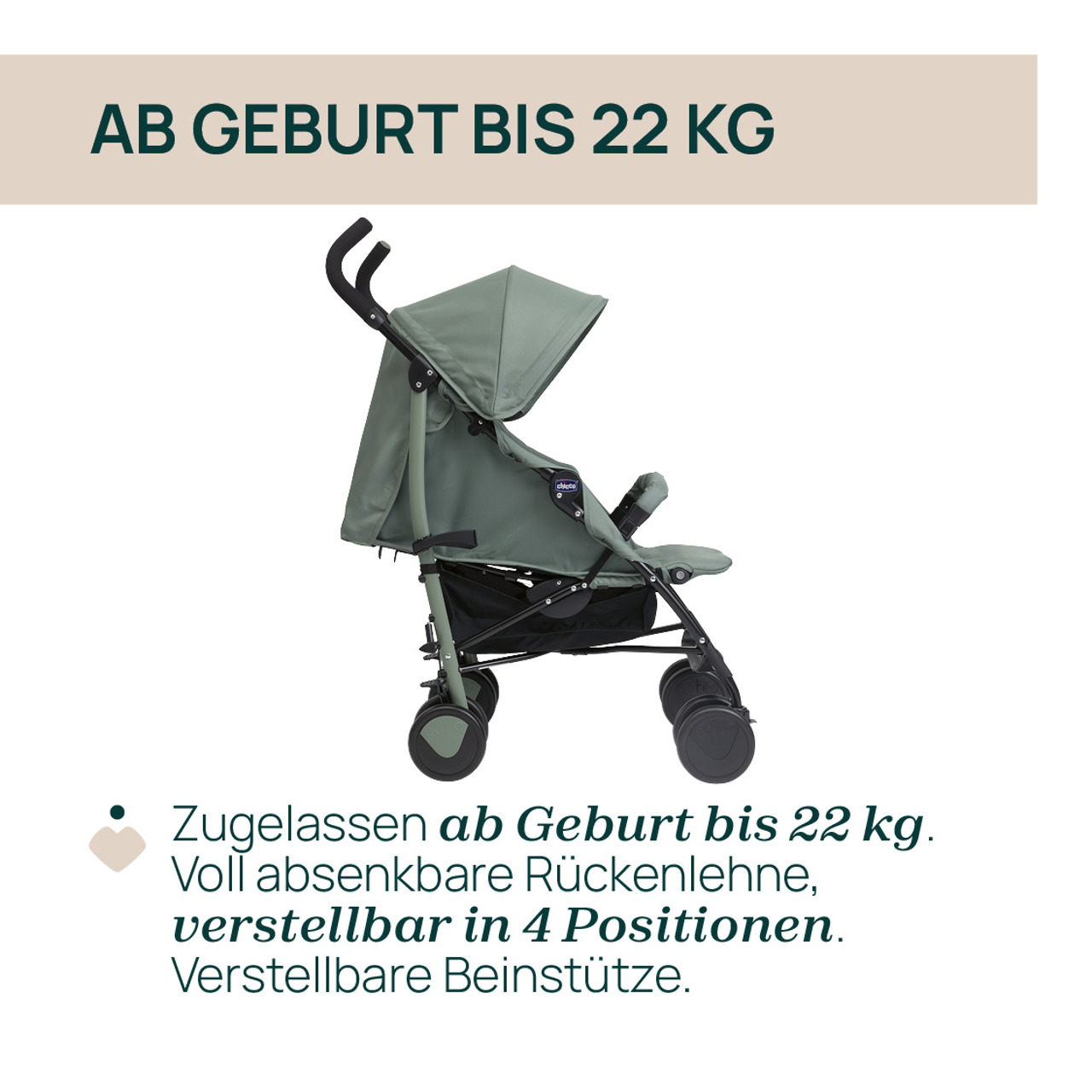 Buggy Echo Lite null - 3