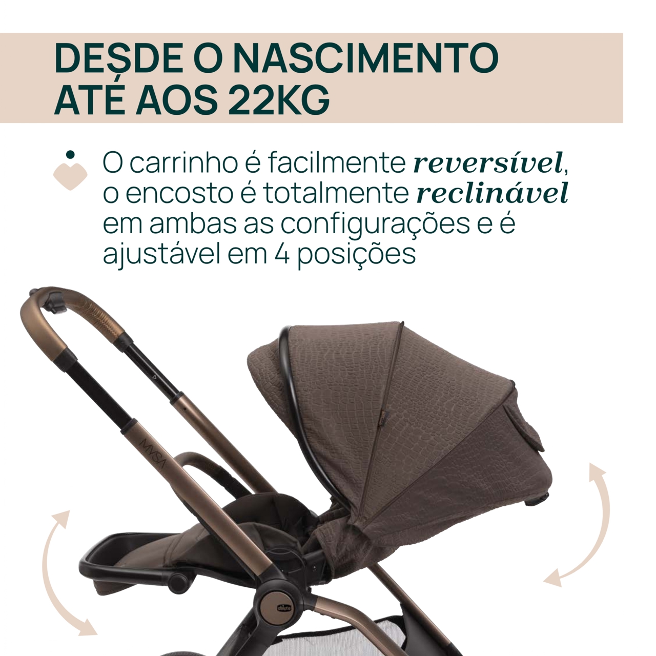 Trio Mysa c/Kory Plus Bronze Lizard Chicco - 2