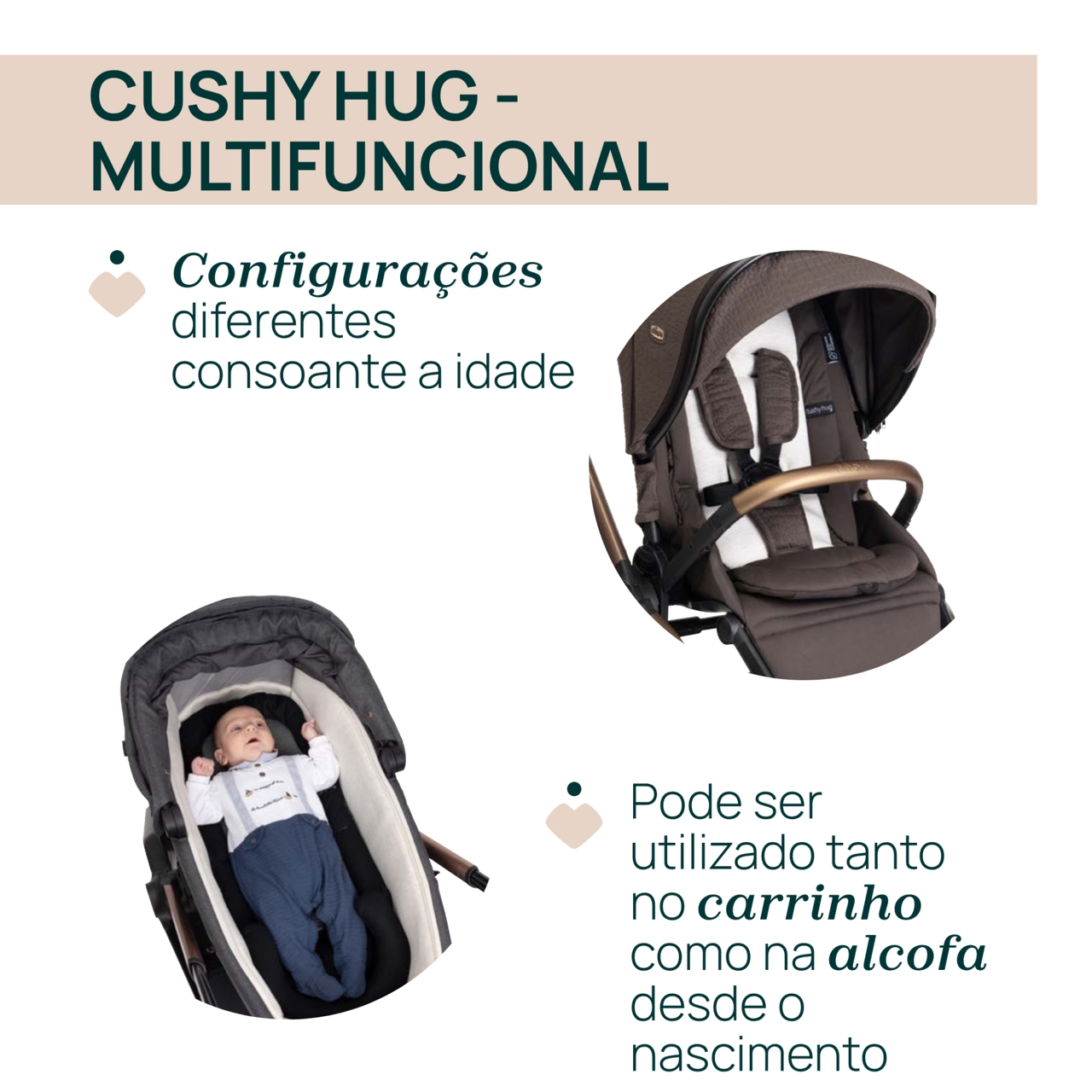 Trio Mysa c/Kory Plus Bronze Lizard Chicco - 6