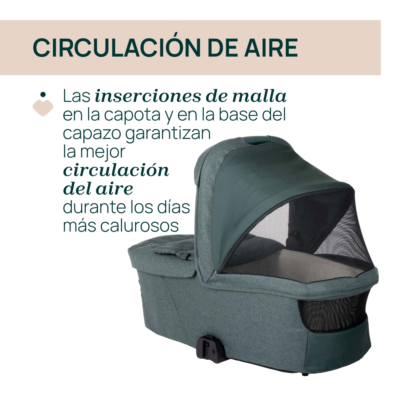 Capazo Flexi Chicco - 5