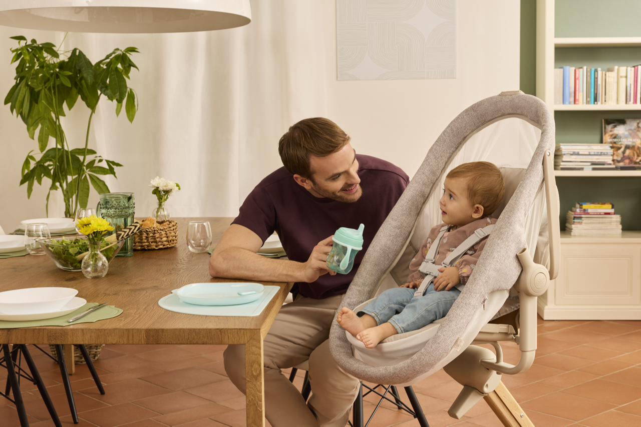 Baby Hug Armonia 4en1  Chicco - 11