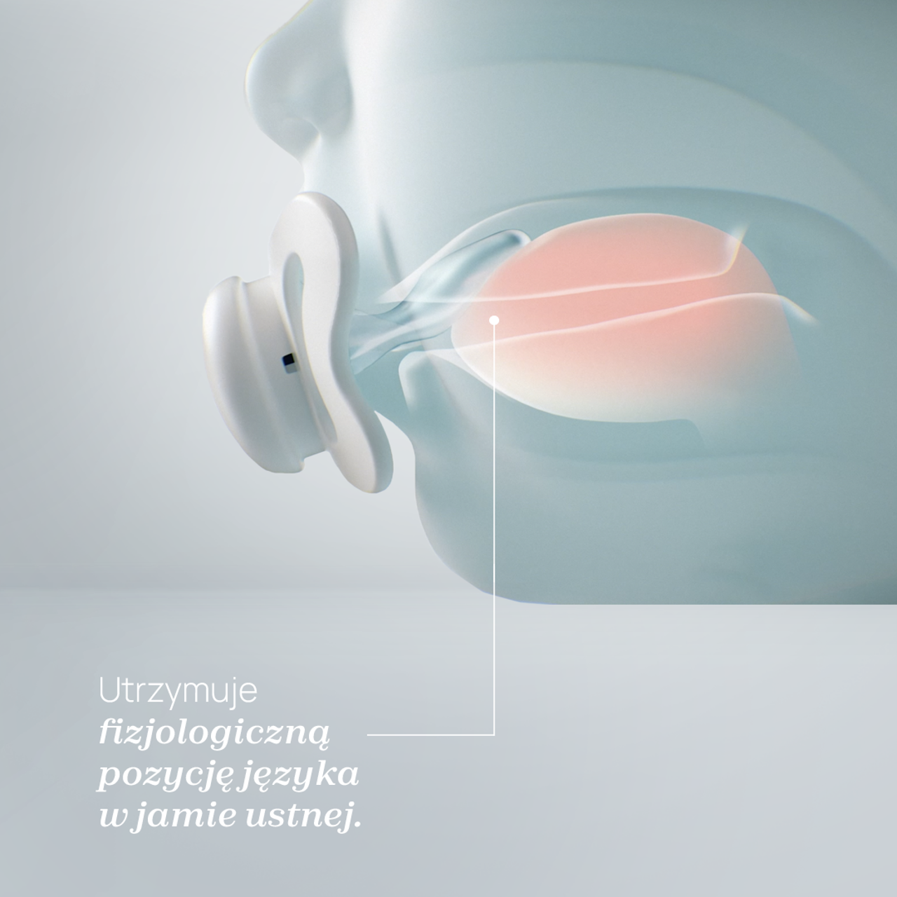 PHYSIOFORMA SOFT 0-6M null - 1