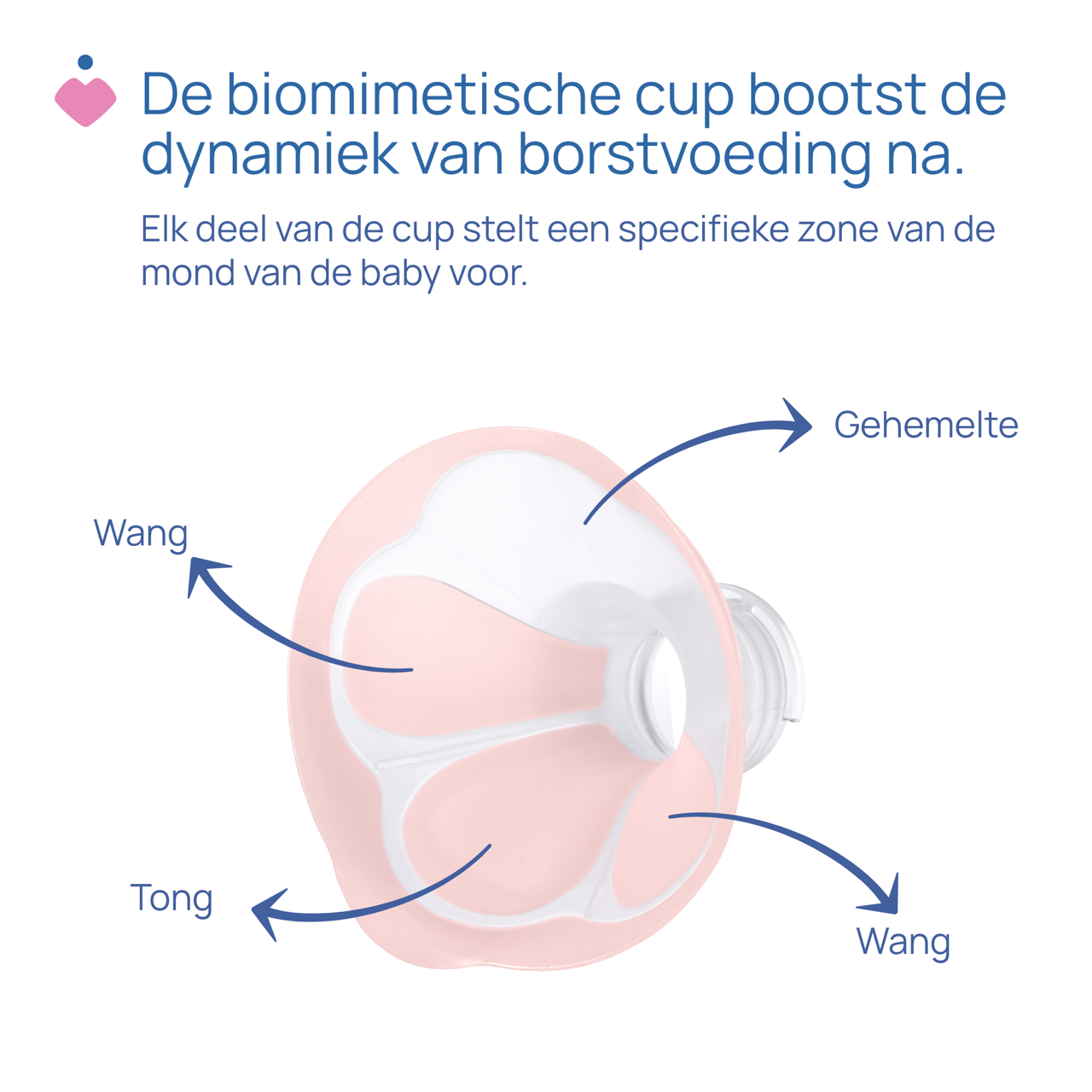 Elektrische borstkolf Stimolatte Chicco - 2