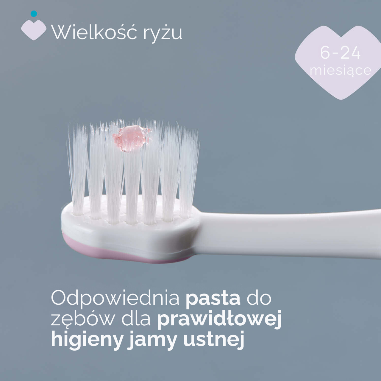 SZCZOTECZKA DO PIERWSZYCH ZĘBÓW 6-36M null - 2