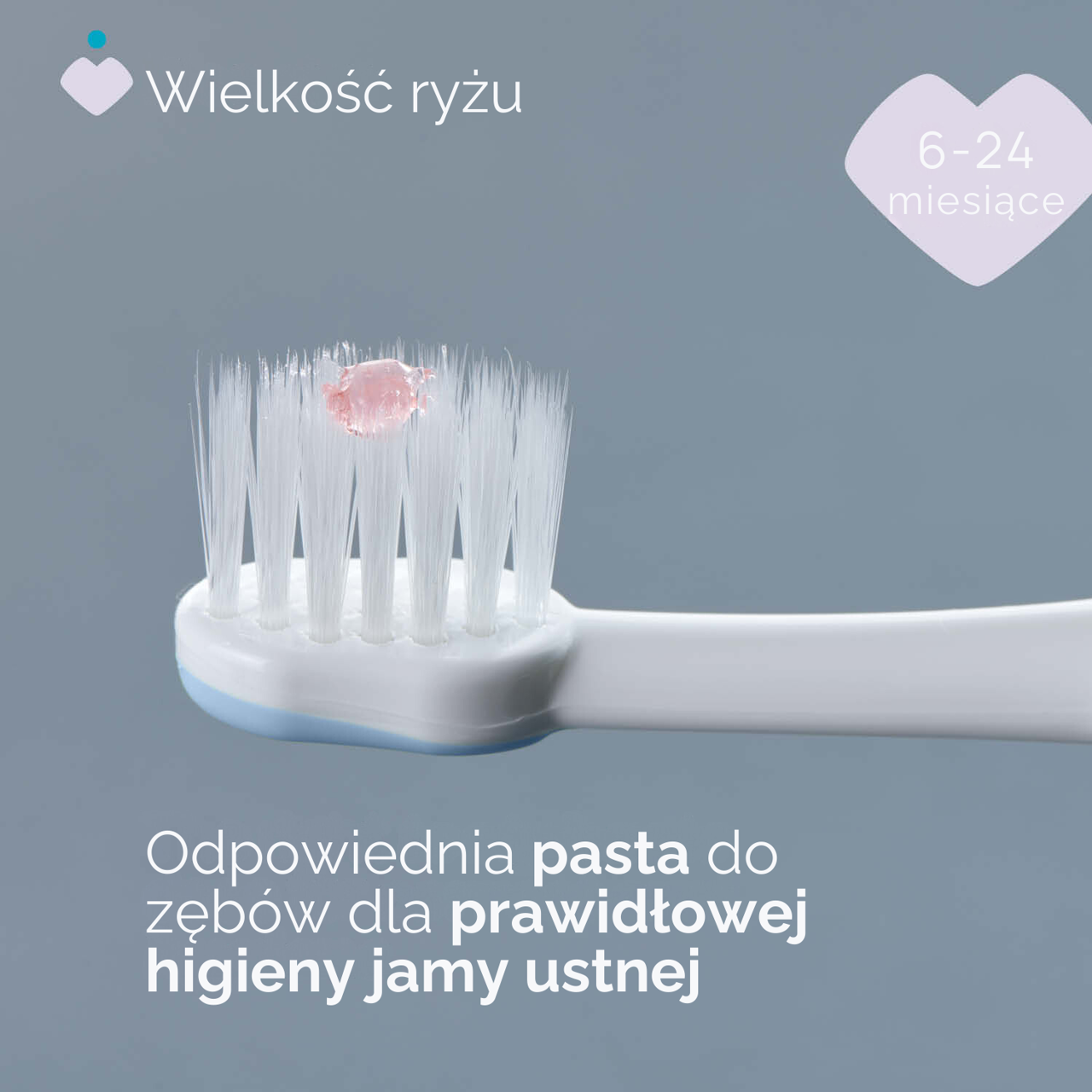 SZCZOTECZKA DO PIERWSZYCH ZĘBÓW 6-36M null - 5