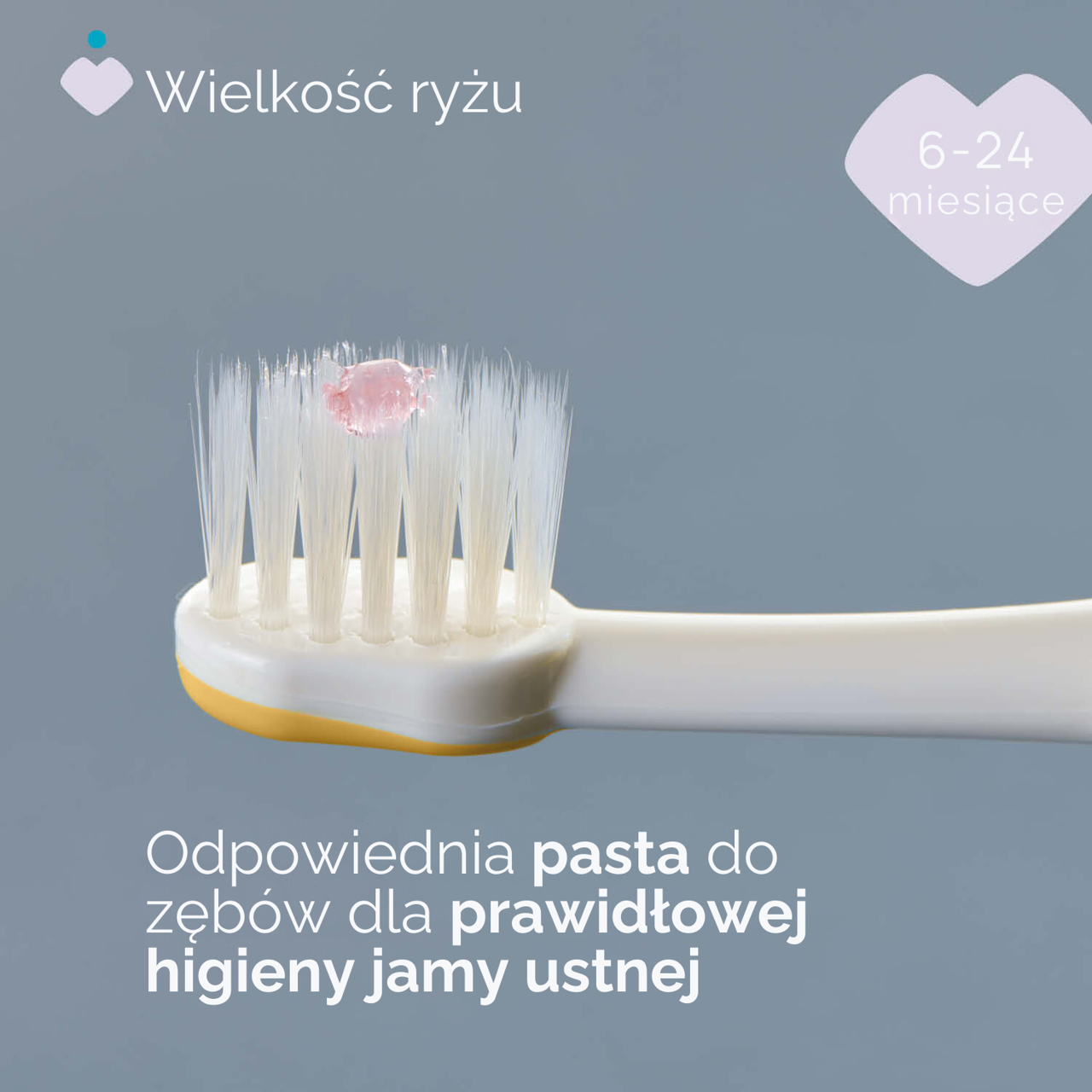 ZESTAW SZCZOTECZEK DO PIERWSZYCH ZĘBÓW 6-36M null - 5