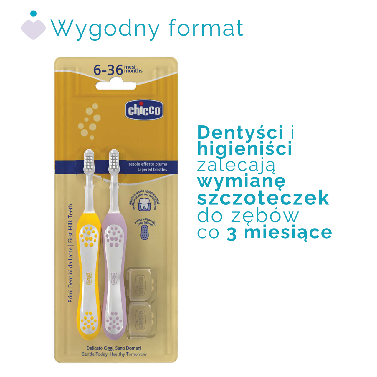ZESTAW SZCZOTECZEK DO PIERWSZYCH ZĘBÓW 6-36M null - 3