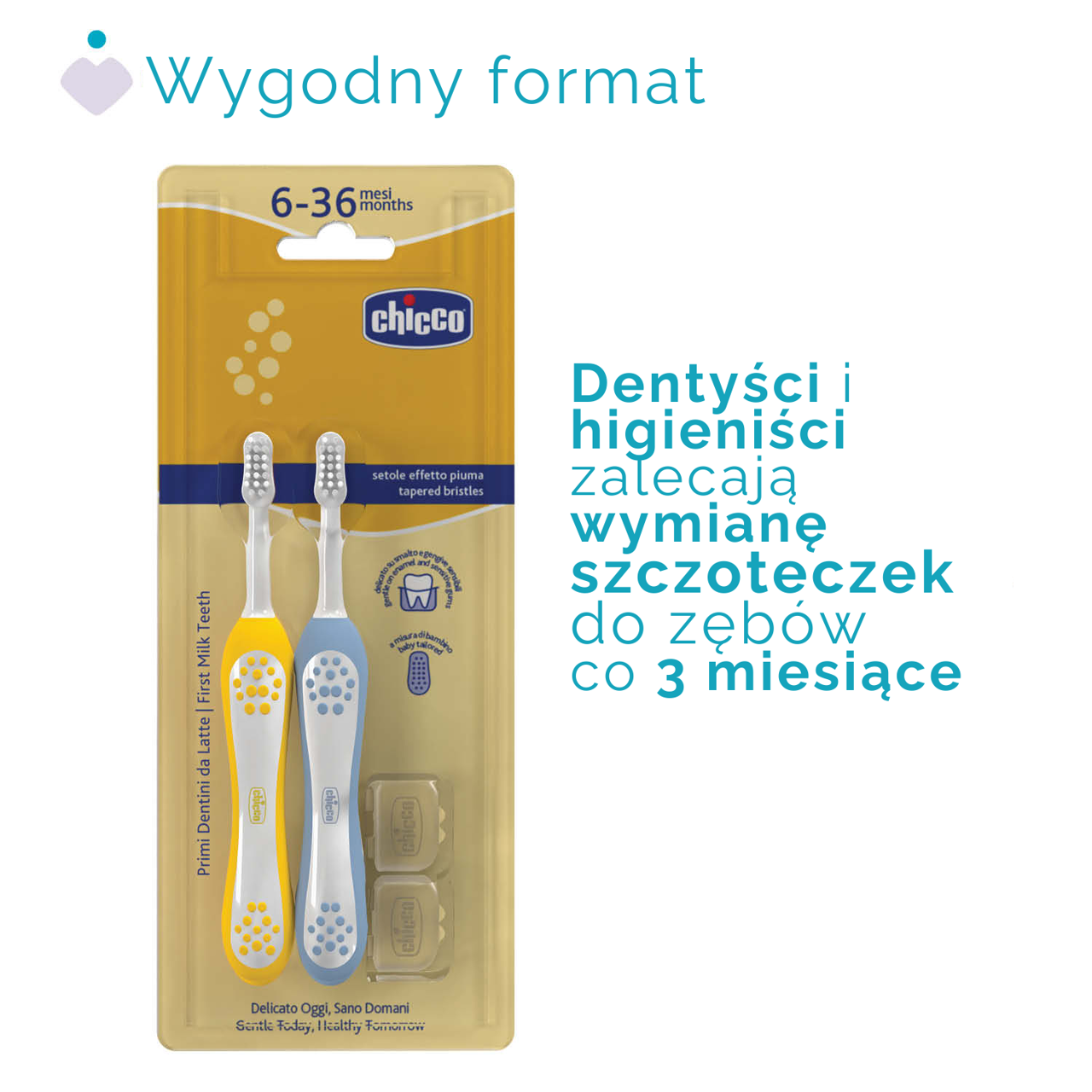 ZESTAW SZCZOTECZEK DO PIERWSZYCH ZĘBÓW 6-36M null - 2