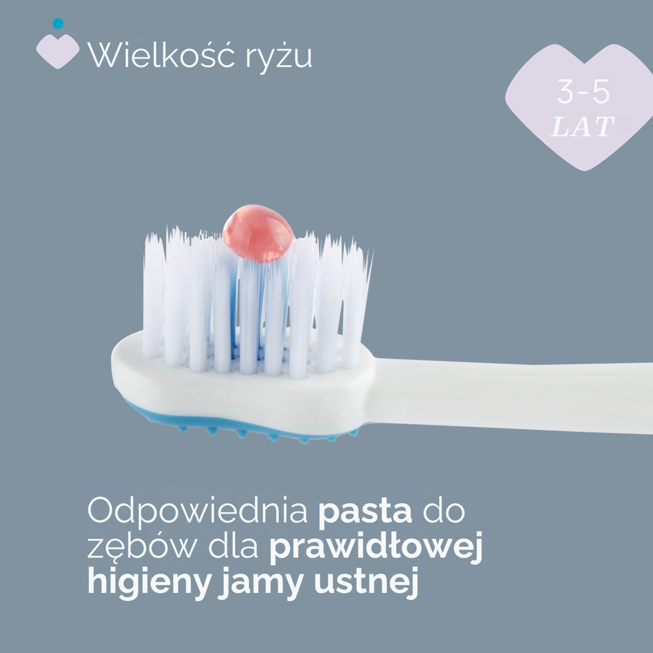 SZCZOTECZKA DO ZĘBÓW 3-6 LAT null - 3