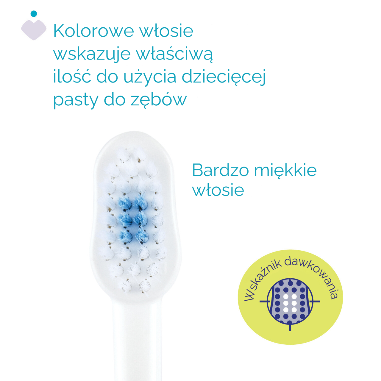 ZESTAW SZCZOTECZEK DO ZĘBÓW 3-6 LAT null - 2