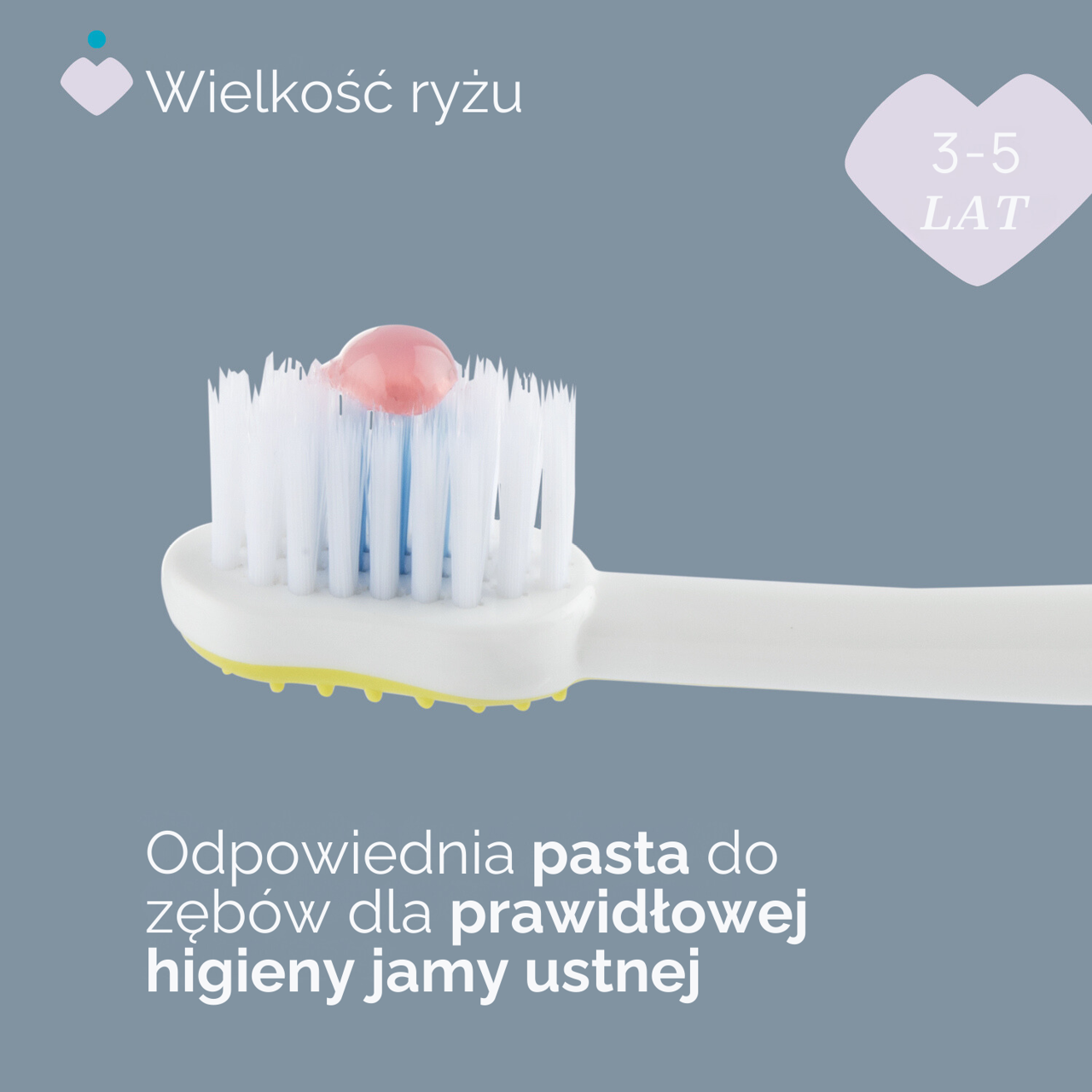 ZESTAW SZCZOTECZEK DO ZĘBÓW 3-6 LAT null - 2