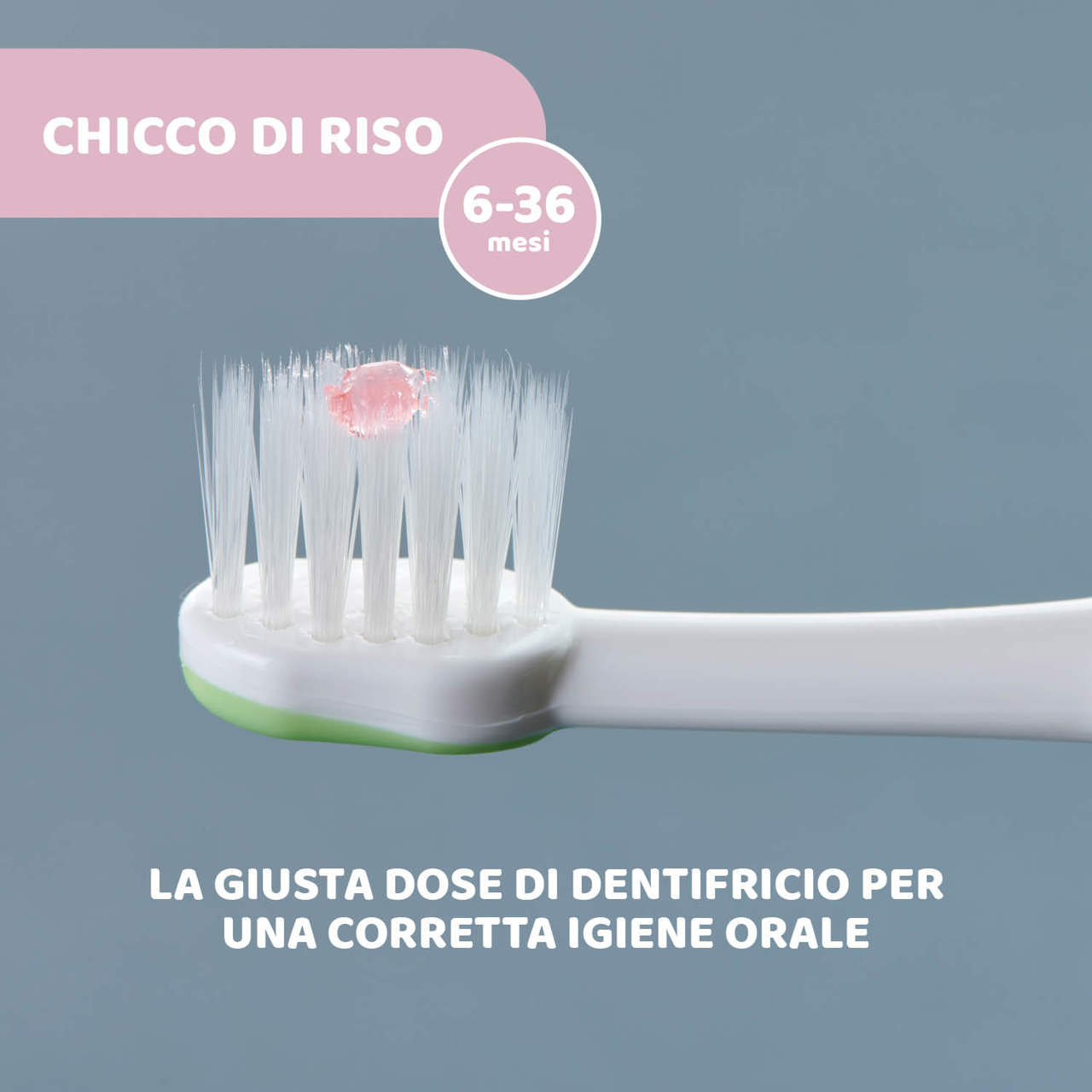 Spazzolino Da Denti Per Bambini Piccoli Amici Flex System - Gargiulo &  Maiello S.p.A