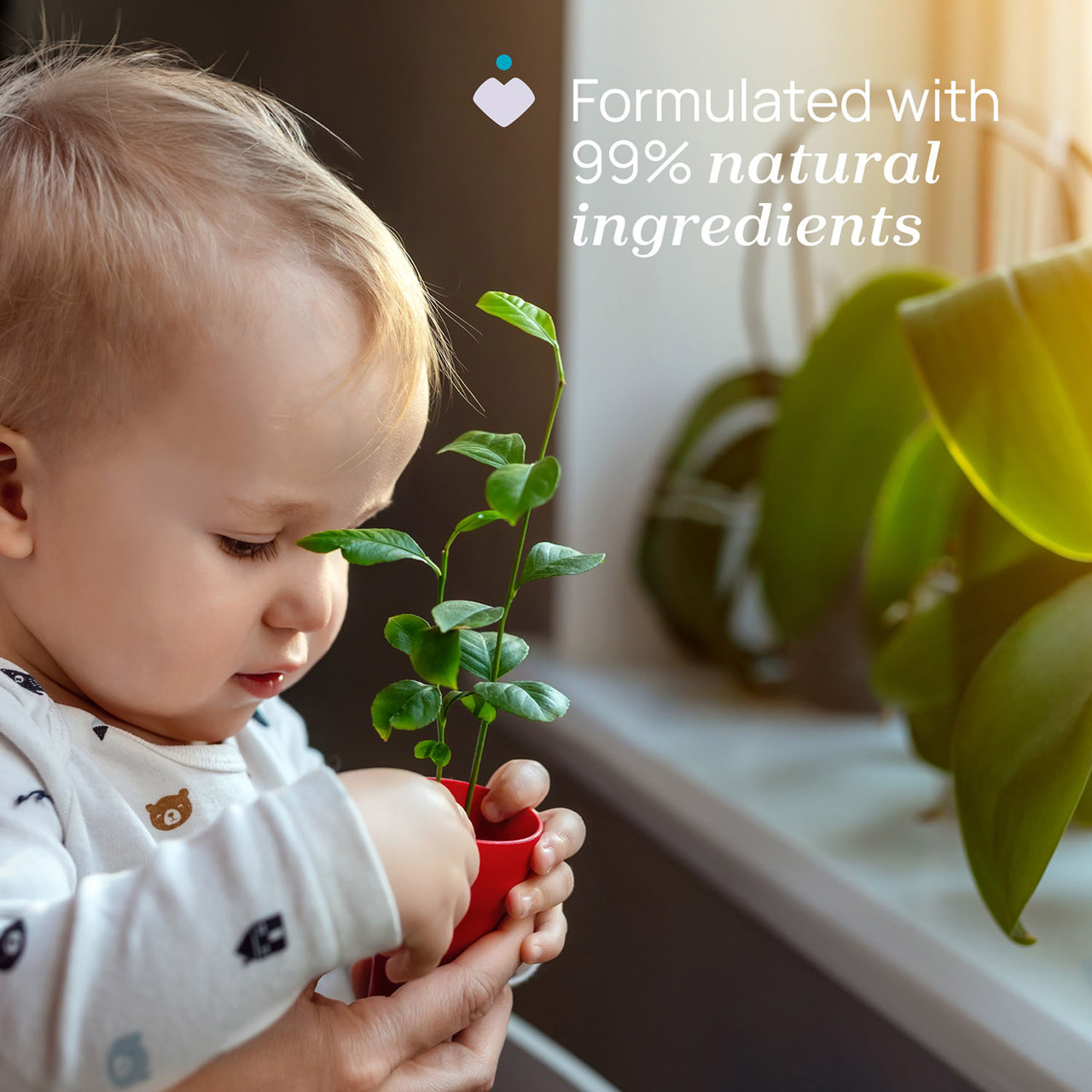 Polvo Delicado Chicco - 4