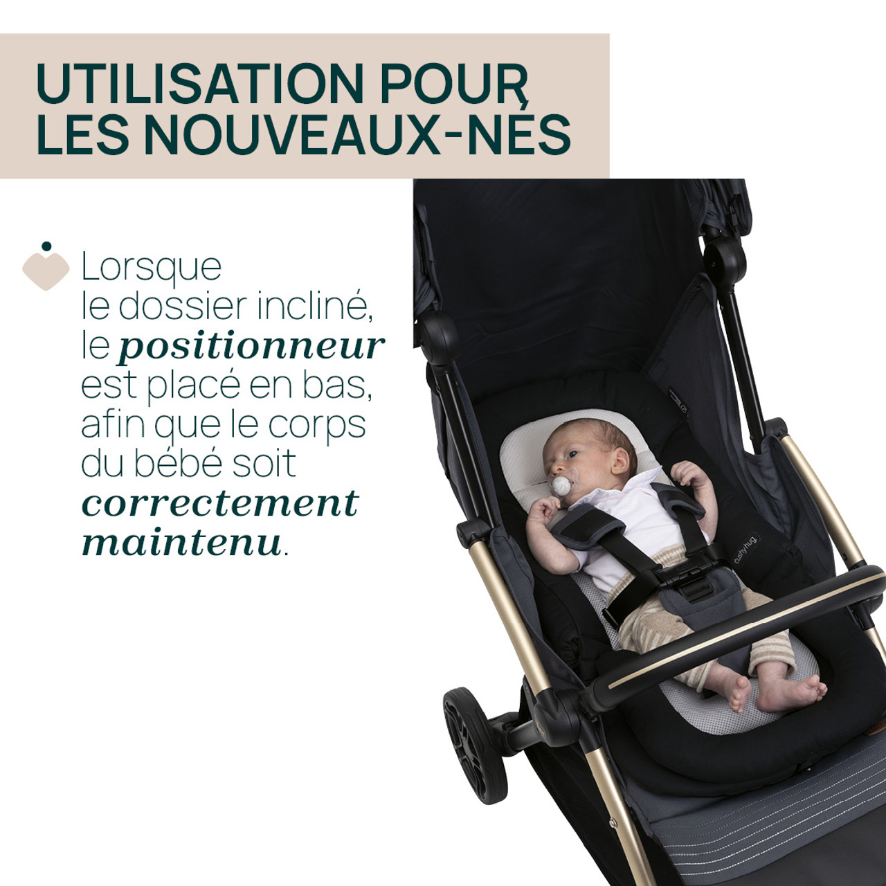 Réducteur Cushy Hug poussette Goody Xplus Chicco - 8