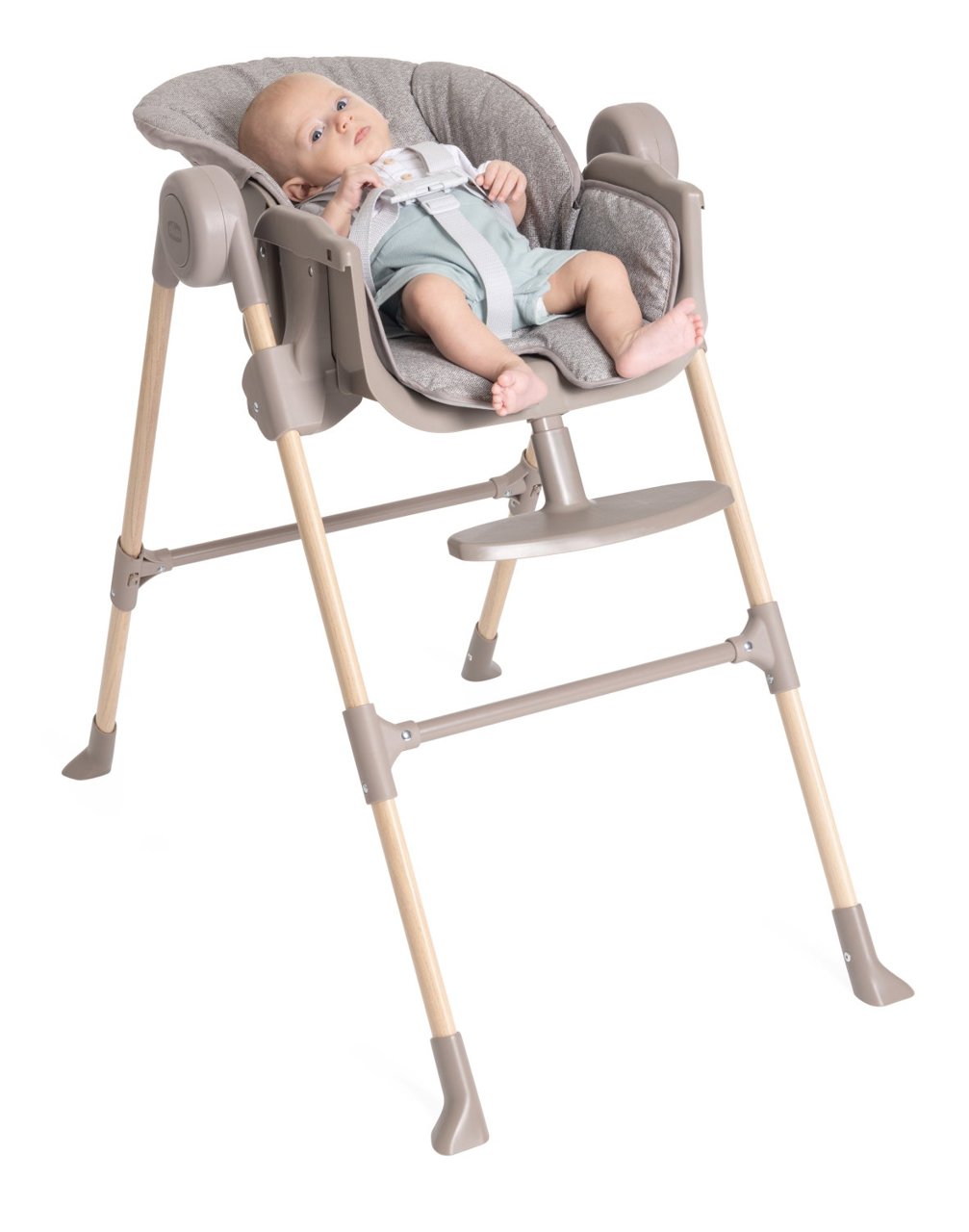 Polly Essential null - 1