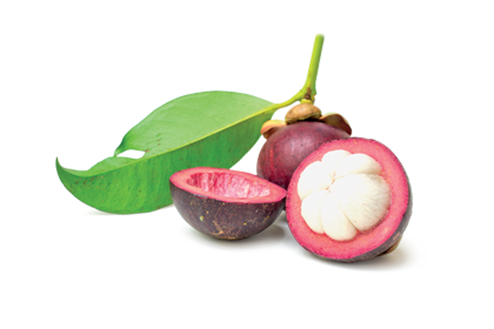ESTRATTO DI GARCINIA MANGOSTANA