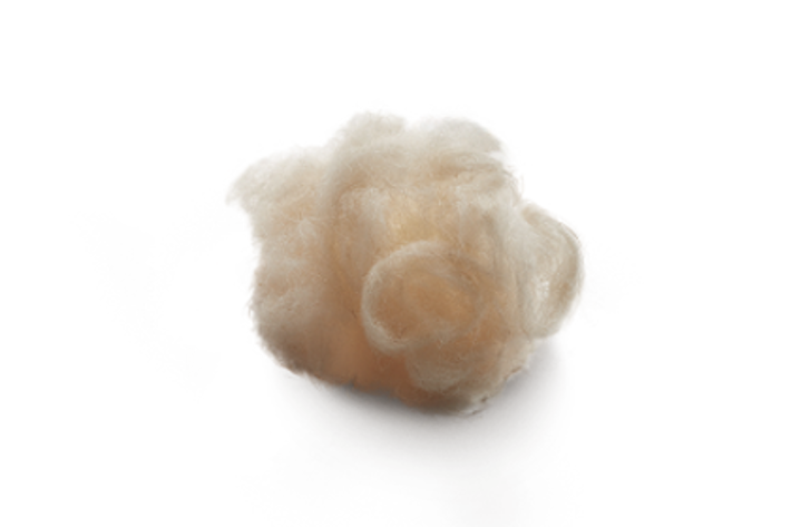 LANOLINA