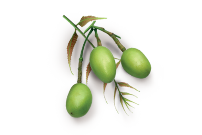 OLIO DI NEEM