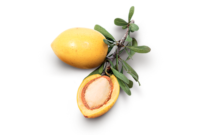 OLIO DI ARGAN