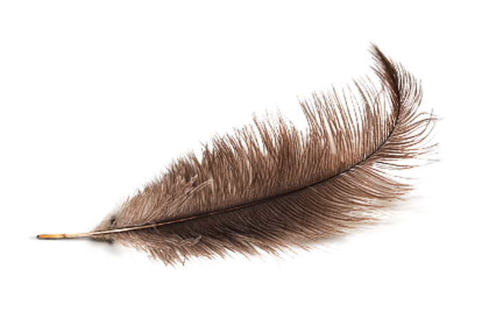 OLIO DI EMU
