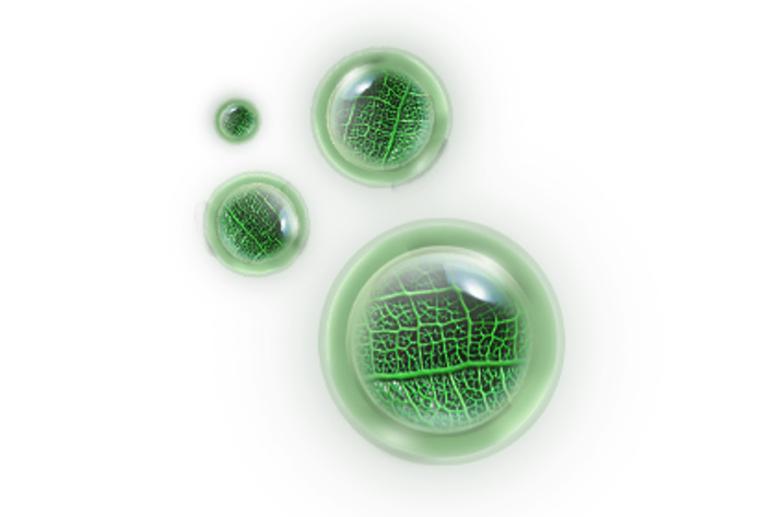 PEPTIDI DI ORIGINE VEGETALE