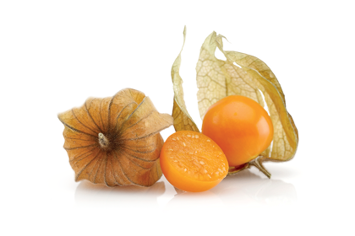 ESTRATTO DI PHYSALIS ANGULATA