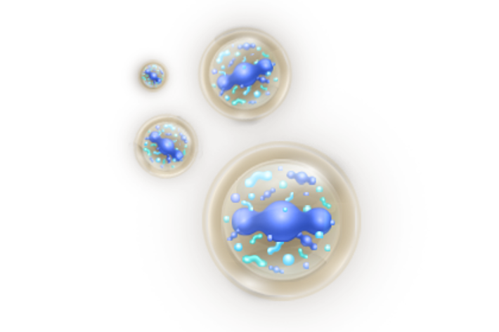 POSTBIOTICO